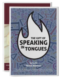 Fundamental Bible Teaching book cover - Book 1 Beginning the Christian Walk