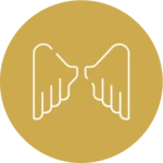 Symbol representing angels as messengers and servants of God
